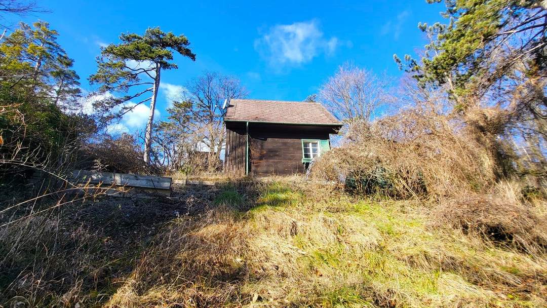 Einzigartiges Jagdhäuschen auf Eigengrund nächst Lainzer Tiergarten im Grünland!