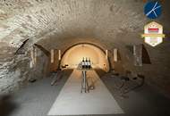 Firmensitz / Betriebsobjekt mit 320m² Büros, 400m² Hallen/Garagen &amp; 750m² Lagerplatz