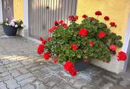 Großzügiges Grundstück mit bestehender Bebauung und attraktiver Bebauungsdichte