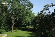 BURGBLICK - EFH in TOPLAGE von Maria Enzersdorf