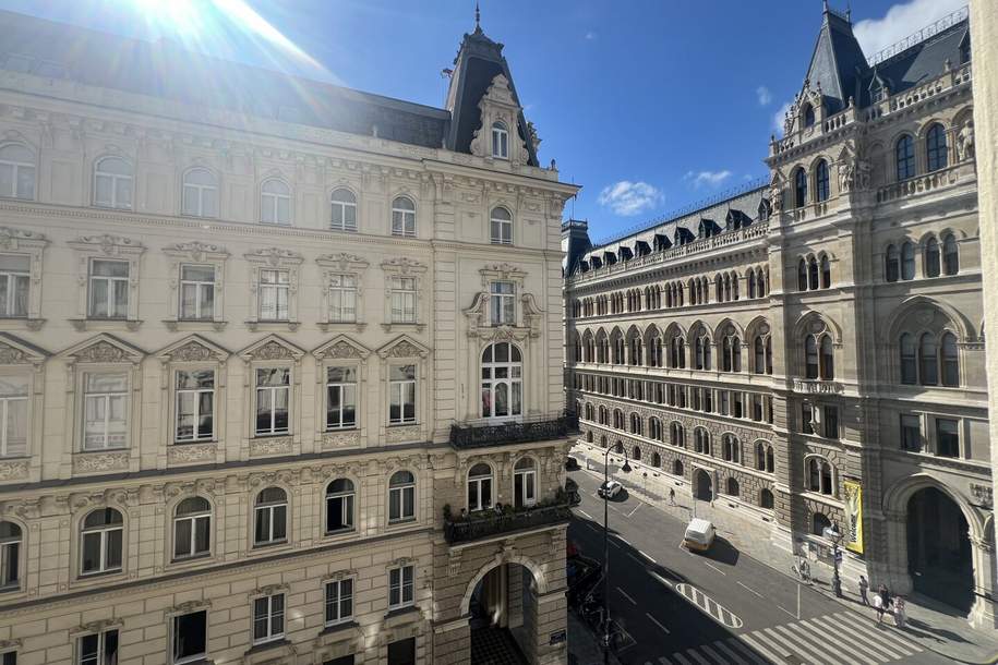 UNBEFRISTET - &lt;&gt; Repräsentative 7-Zimmer Altbauwohnung mit Blick auf das Rathaus – ca. 300 m² in bester Innenstadtlage - auch ideal als Büronutzung, Wohnung-miete, 9.053,75,€, 1010 Wien 1., Innere Stadt