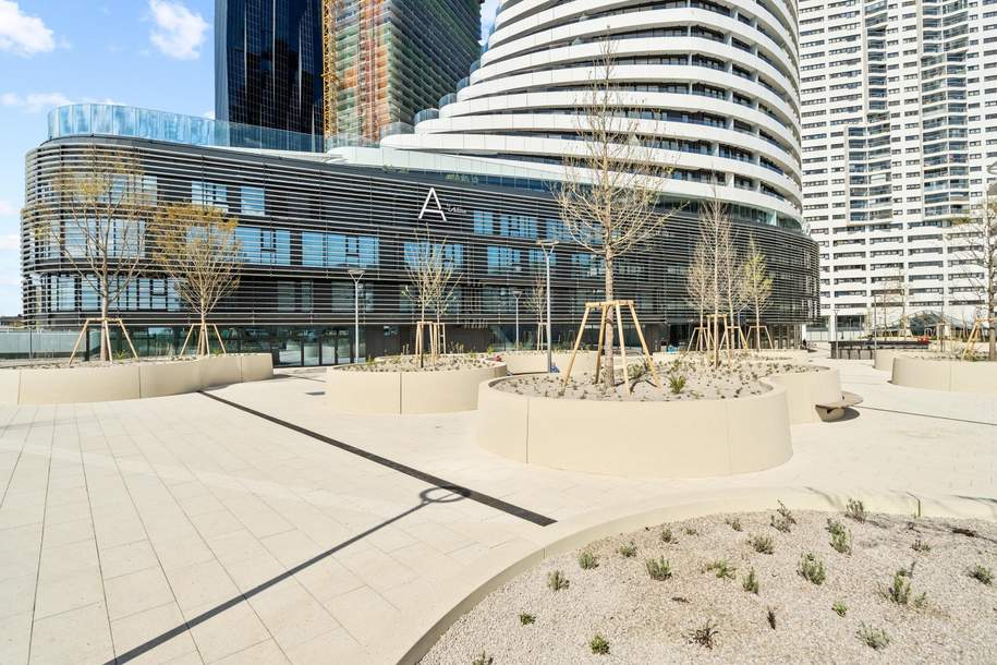 "Vollmöbliert Danube Flat", Wohnung-miete, 2.000,00,€, 1220 Wien 22., Donaustadt