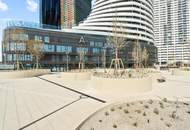 "Vollmöbliert Danube Flat"