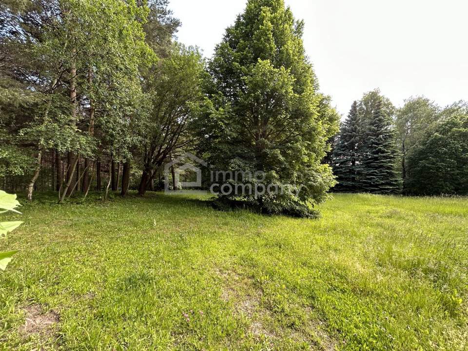 Ihre Gelegenheit! Grundstück in Traumlage mit Waldbestand!