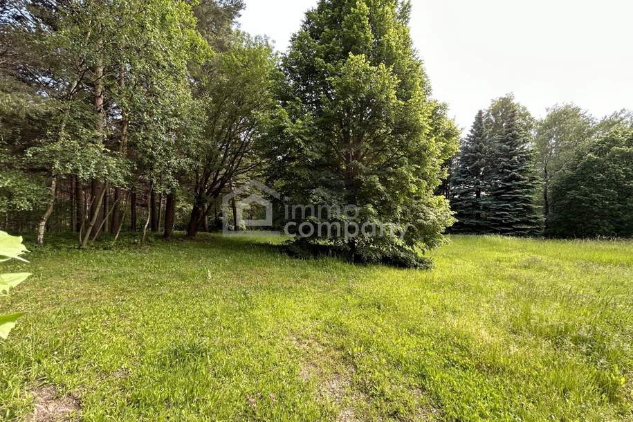 Ihre Gelegenheit! Grundstück in Traumlage mit Waldbestand!, Grund und Boden-kauf, 370.000,€, 2812 Wiener Neustadt(Land)