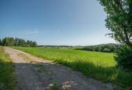 Zum Verkauf steht ein zusammenhängendes Landwirtschafts- und Waldgrundstück mit Holzhaus