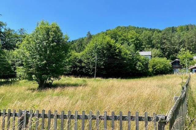 Mehr als 5000m² Grund! Wo sich Fuchs und Hase "gute Nacht" sagen!, Haus-kauf, 175.000,€, 2640 Neunkirchen