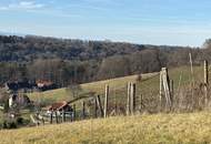 Traumhaft sonniges Baugrundstück in Thermennähe mit herrlich grünem Ausblick