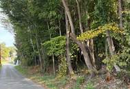 Wald am Stadtrand von Graz – 41.598 m² Natur als bleibender Wert