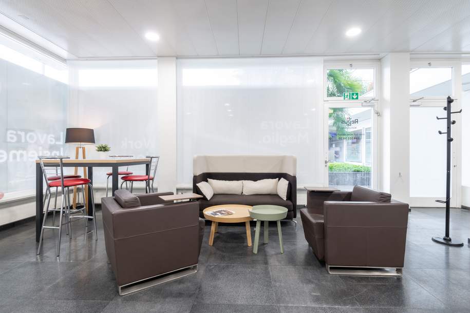 Flexible Arbeitsplätze in Regus Flybridge, Gewerbeobjekt-miete, 1070 Wien 7., Neubau