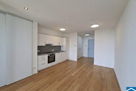 "Park Apartments am Belvedere" - Exklusive 2 Zimmerwohnung mit Loggia und Fernblick, Wohnung-miete, 1.321,28,€, 1100 Wien 10., Favoriten