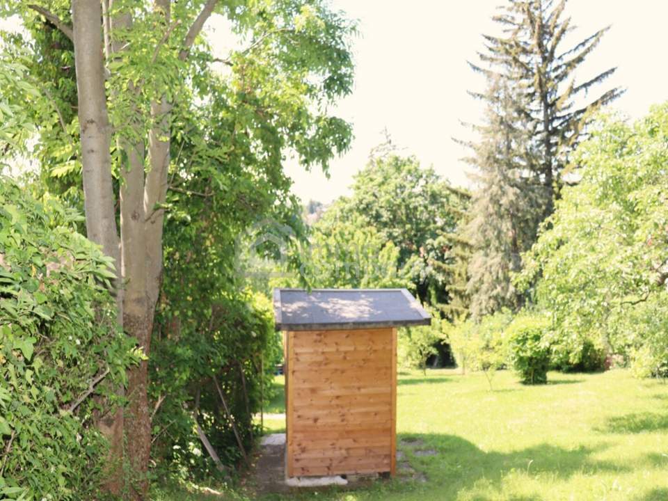 ES GIBT FÜR ALLES EINEN GRUND - wir haben gleich 3 davon…