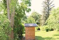 ES GIBT FÜR ALLES EINEN GRUND - wir haben gleich 3 davon…