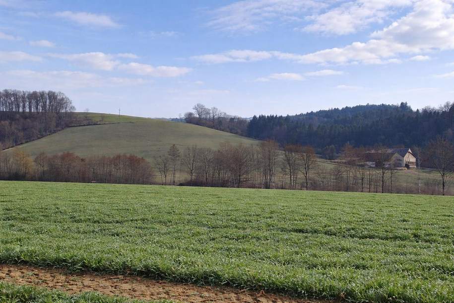 Landwirtschaftliche Nutzflächen in St. Agatha / Waizenkirchen, Gewerbeobjekt-kauf, 4084 Grieskirchen