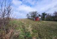 Raum für Ihre Ideen!!