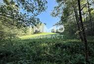 Erholung pur im eigenen Wald mit Bach und Wiesen nähe Amstetten