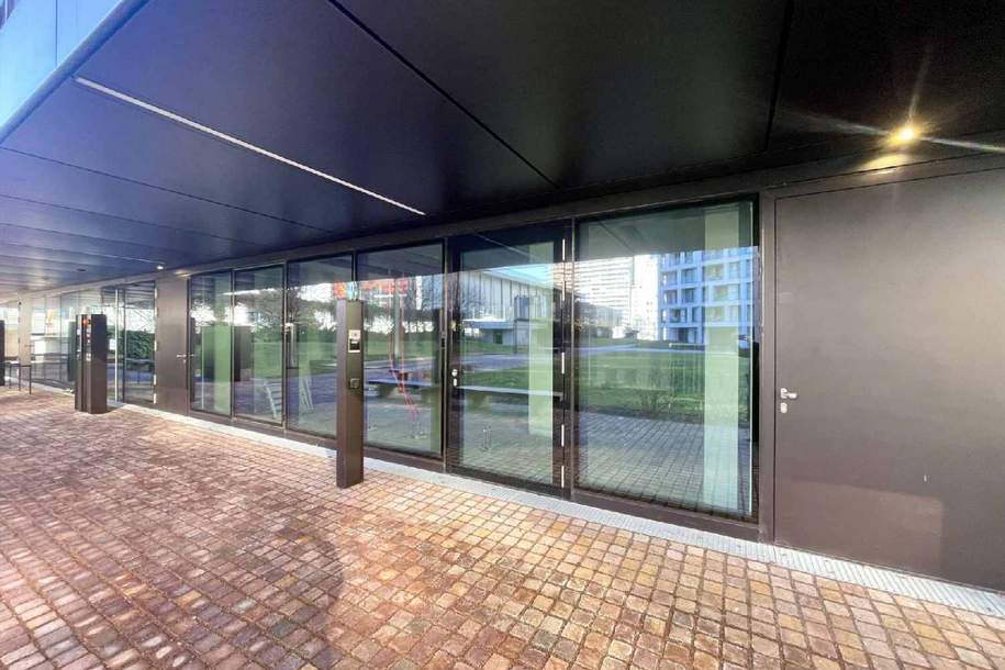 Urbaner Business-Spot: Erstbezug in den DC-Flats – Arbeiten im „Global Village“, Gewerbeobjekt-miete, 2.468,88,€, 1220 Wien 22., Donaustadt