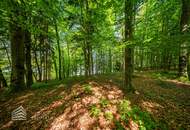 Exklusives Badeparadies am Wörthersee: Ihr privates Refugium mit Seezugang und Waldidylle