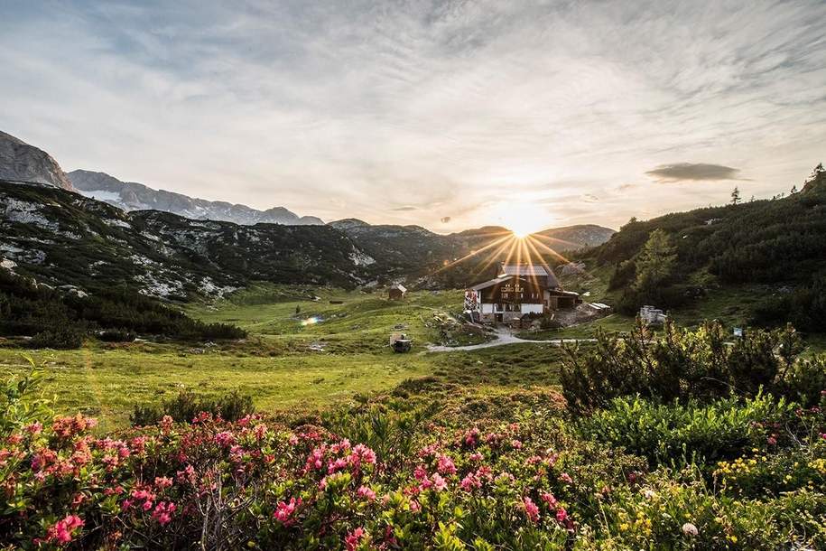 Berghütte/Alm in traumhafter Alleinlage mit Blick auf das atemberaubende Dachsteinmassiv, Gewerbeobjekt-kauf, 1.590.000,€, 4831 Gmunden