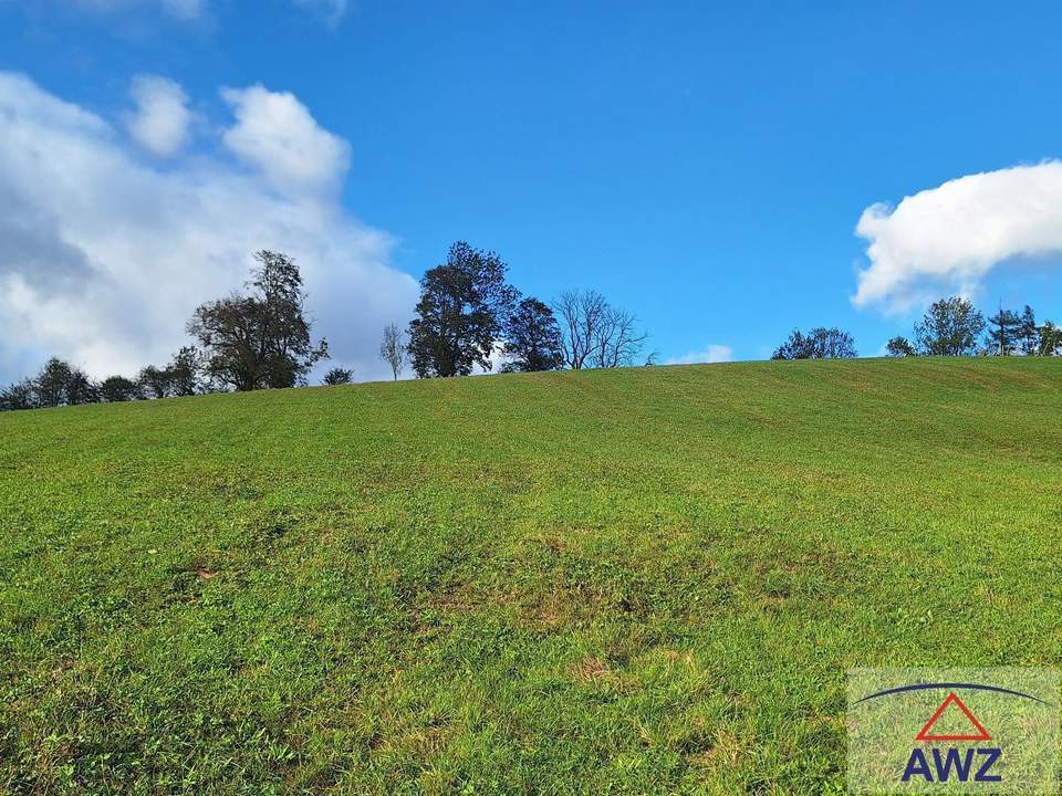 Wiesengrund: Möglichkeit für landwirtschaftlich nötige Gebäude (+ angrenzender Baugrund optional)!