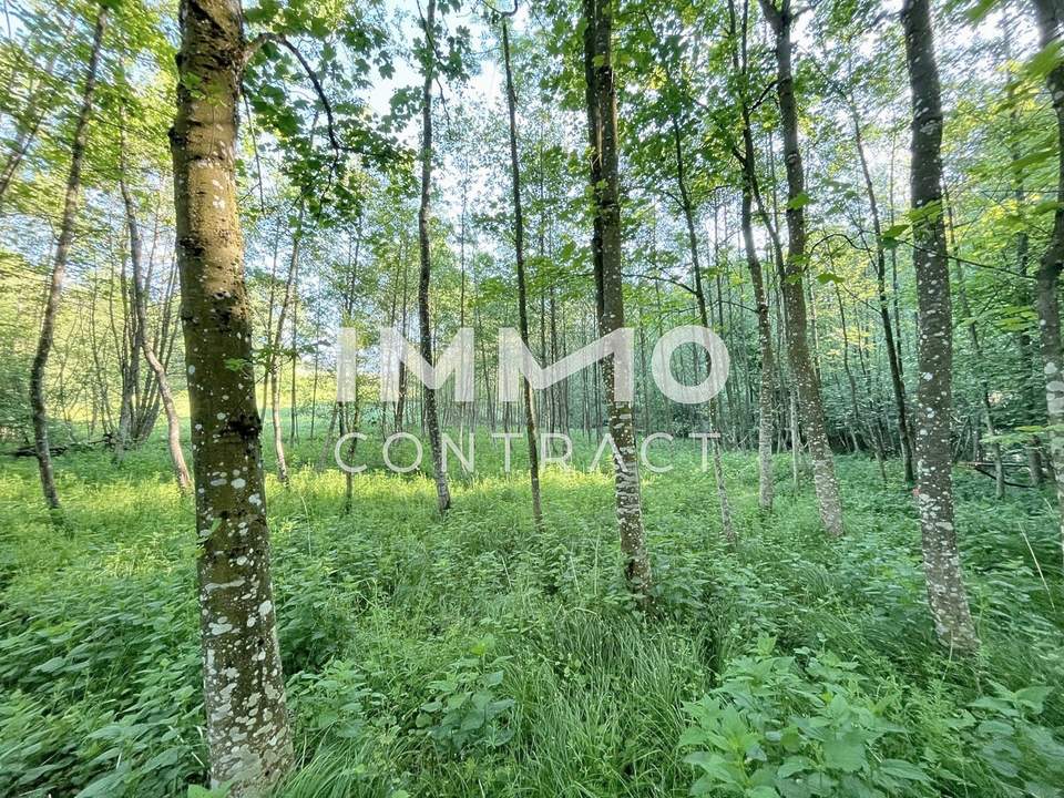 Erholung pur im eigenen Wald mit Bach und Wiesen nähe Amstetten