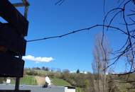 Traumhaus in 1190 Wien - 180m², 6 Zimmer, großer Garten, Balkone, Terrasse, Stellplatz uvm.