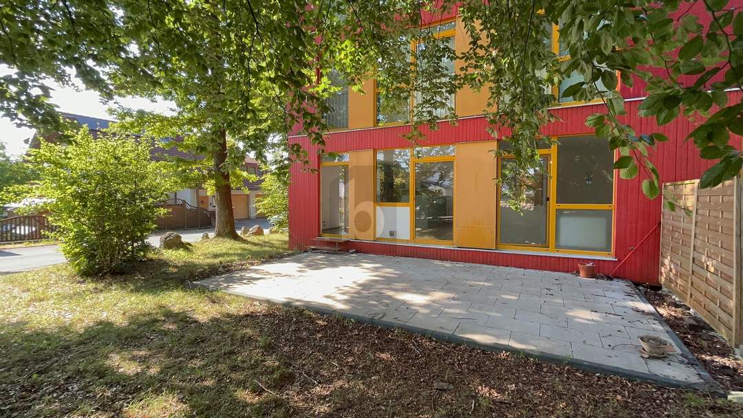 PREISHIT! RARITÄT AM WALD