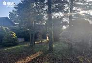 s REAL - Open House am 28.03.26 - Zwei nebeneinanderliegende Grundstücke – ideal für Bauträger, auch einzeln zu erwerben