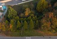 Vom Traum zum Zuhause – 821 m² Lebensfreude in Steinhaus - Grundstück mit vielen Möglichkeiten