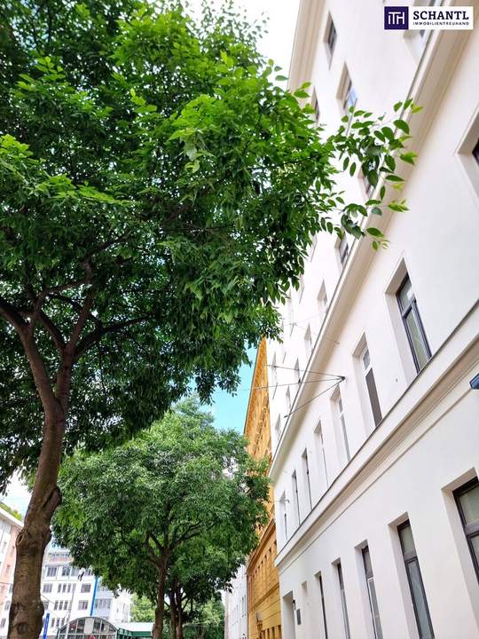 Wer nicht auf schlüsselfertig steht, ist hier richtig! 4-Zimmer Wohnung - Selbst Gestalten! Sanierungsbedürftige Altbauwohnung! U-Bahn ums Eck + Traumhaft renoviertes Altbauhaus + Optimalste Infrastruktur und Anbindung!