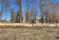 TopA EG : 50m2 + 48m2 Freifläche - LEBEN in GEIDORF + Garten - PROVISIONSFREI f.d. Käufer