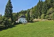 Bauernhof samt Auszugshaus (Sternchenbau) mit land- und forstwirtschaftl. Grund in idyllischer Alleinlage