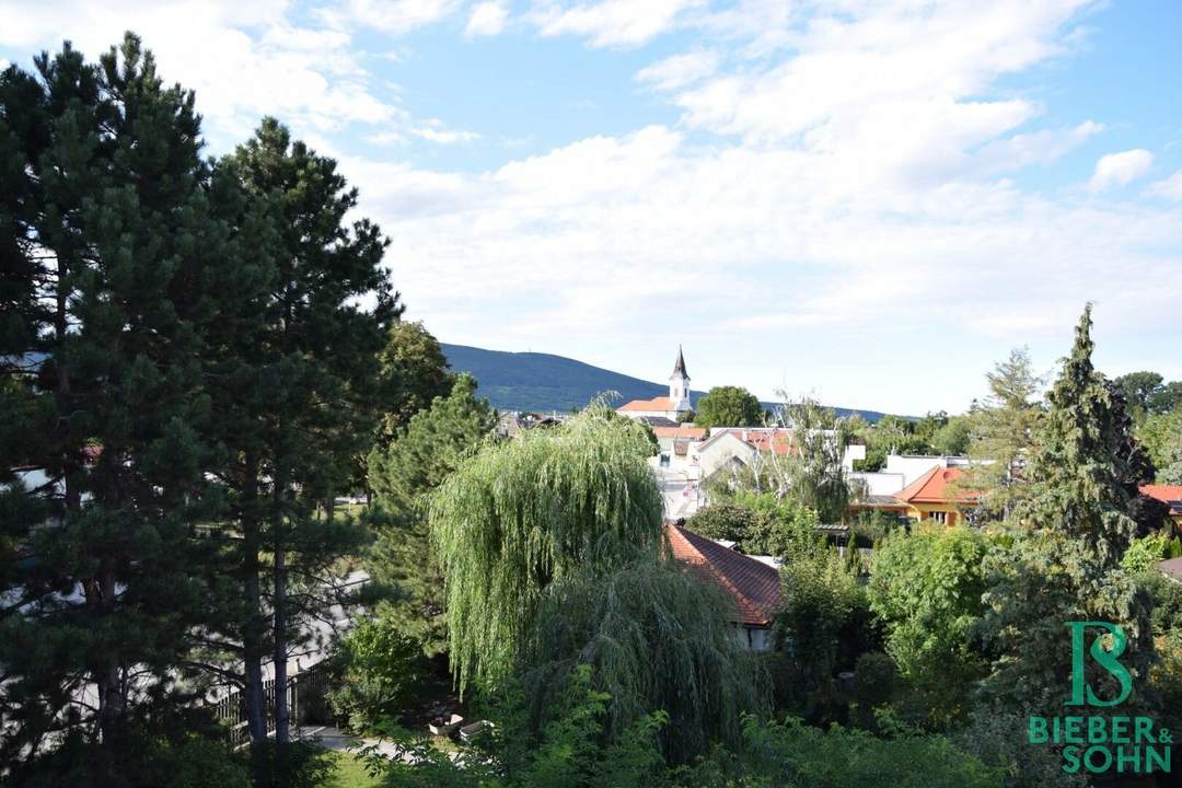 Großzügiges, sonniges Einfamilienhaus mit 80m² Dachterrasse