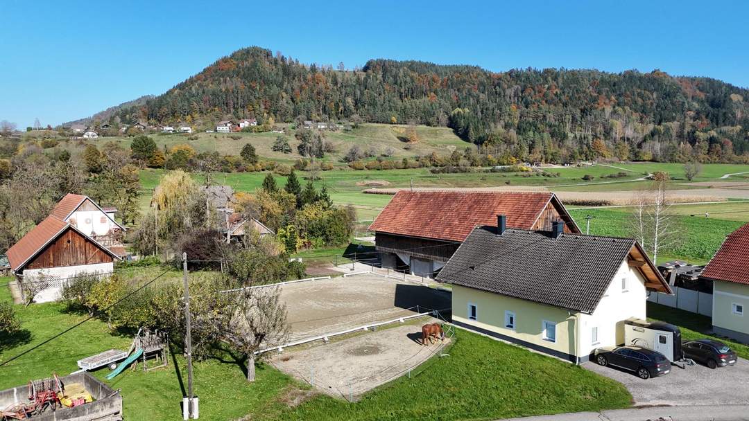 Einladendes, renoviertes Bauernhaus mit Reiterhof in Gallizien