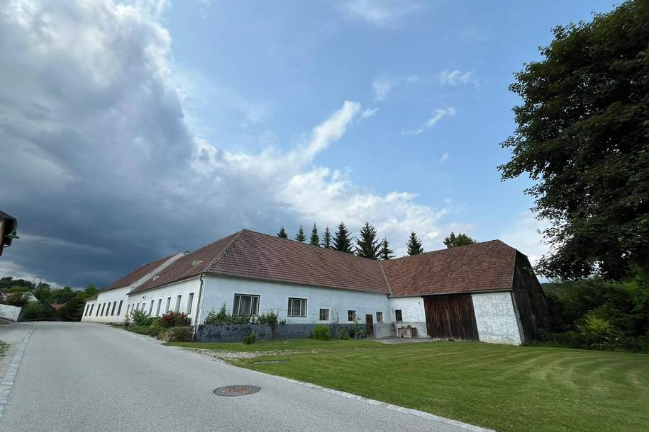 IHR SANIERUNGSBEDÜRFTIGES PARADIES FÜR MENSCH UND TIER MIT POTENTIAL UND GROSSEM GRUNDSTÜCK, Haus-kauf, 399.000,€, 3550 Krems(Land)