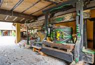 +++++ Märchenhafter Vierkanthof mit 1.000 und 1 Möglichkeiten +++++