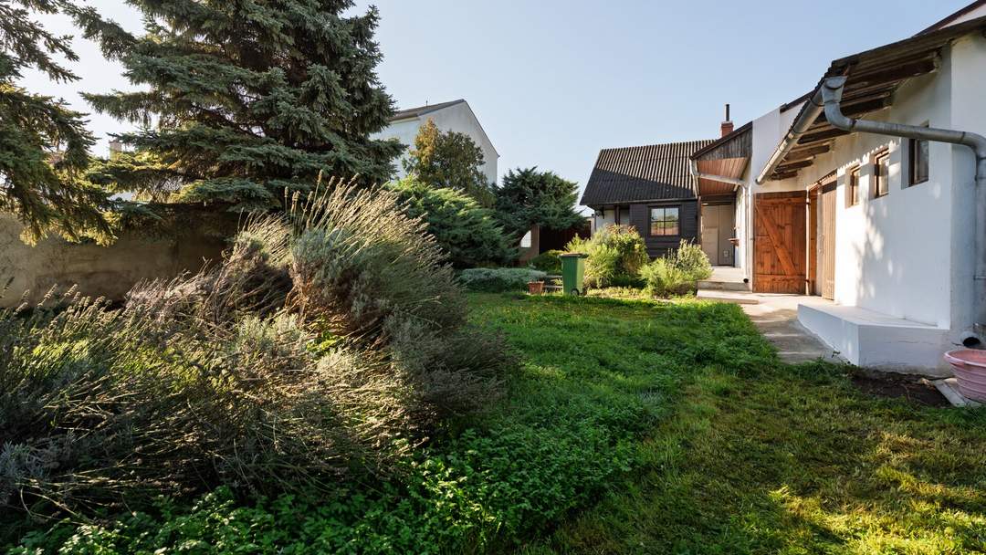 Modernisiertes Einfamilienhaus in 2301 Wittau – Ihr neues Zuhause wartet!