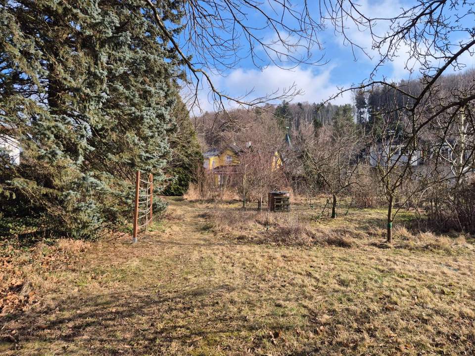 EBENES, SONNIGES BAUGRUNDSTÜCK MIT SCHÖNEM BAUMBESTAND