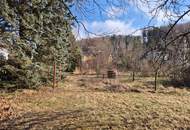 EBENES, SONNIGES BAUGRUNDSTÜCK MIT SCHÖNEM BAUMBESTAND