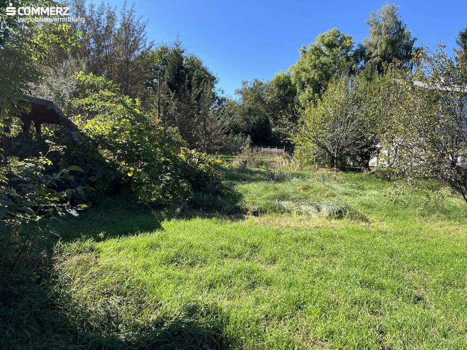 Grünblick in Pettenbach