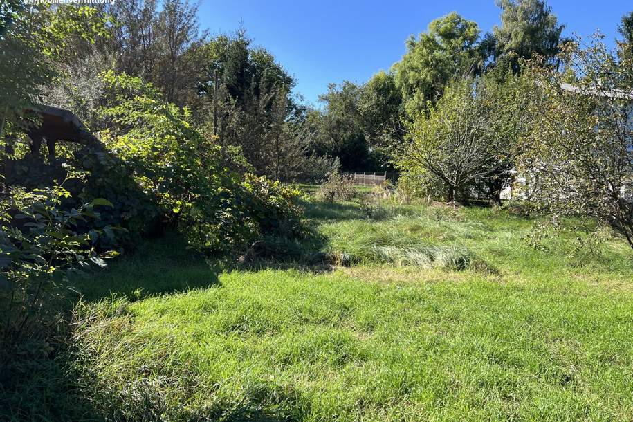 Grünblick in Pettenbach, Grund und Boden-kauf, 105.000,€, 2650 Neunkirchen