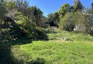 Grünblick in Pettenbach