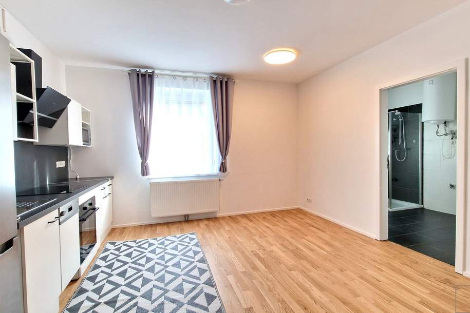DB IMMOBILIEN | Helle 2,5 Zimmer Wohnung im Herzen von Mödling, Wohnung-miete, 750,00,€, 2340 Mödling