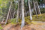 Wald im Gurktal (Provisionsfrei)