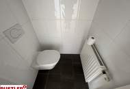 Traumhafte Maisonettewohnung mit Dachterrasse und Kamin - Blick auf den Stephansdom