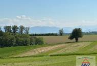 Traumhaftes Kleingartengrundstück auf Eigengrund mit Pool &amp; top gepflegtem Garten!