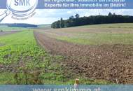 Acker bei Maissau - 3,42 ha landwirtschaftliche Nutzfläche!