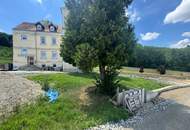 Schlossanwesen mit über 10 ha Grund, mit bestehenden Stallungen, Gehegeflächen und Infrastruktur für Tierhaltung- ideal für Käufer mit Platzbedarf, Tiere und Naturbezug!