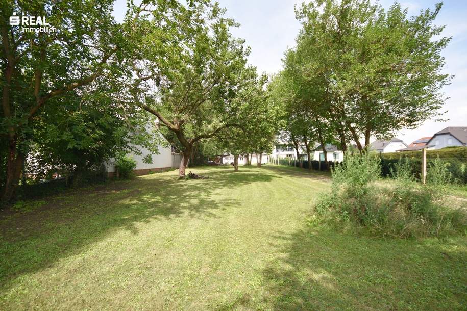 Baugrundstück BW 3 Einheiten 1.135 m², Grund und Boden-kauf, 330.000,€, 2231 Gänserndorf