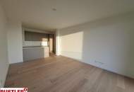 SILVESTER MIT FERNBLICK